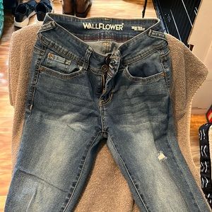 Wallflower capris size 1